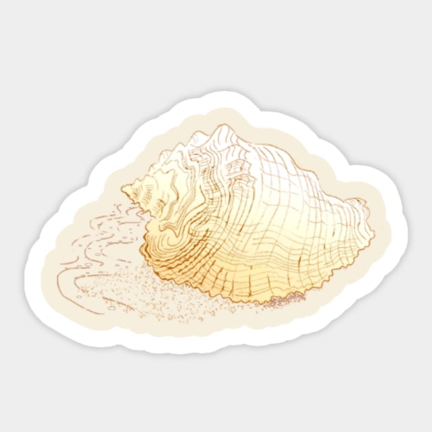 Conch on the Beach Sticker by squarepear